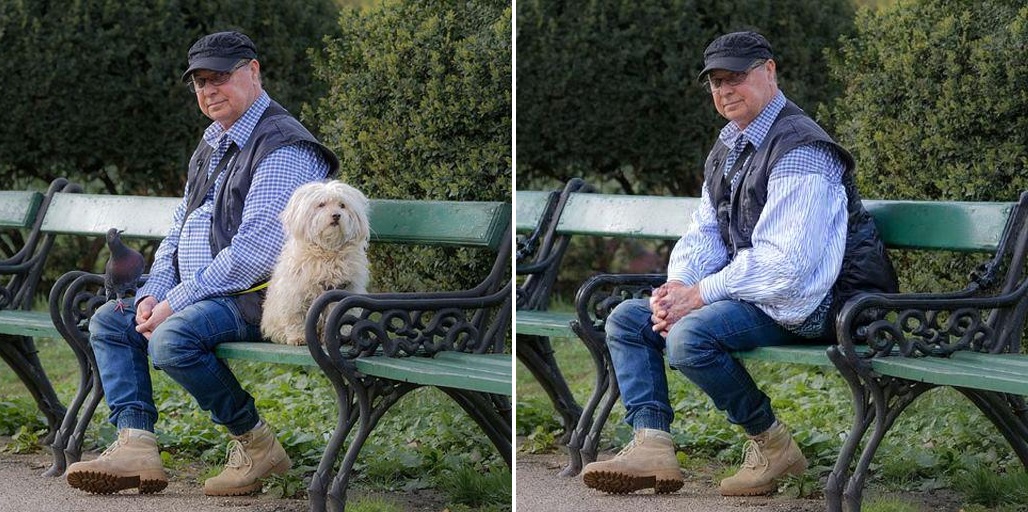 man with dog to man without dog